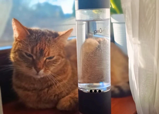 What Is a Hydrogen Water Bottle & How Does It Work